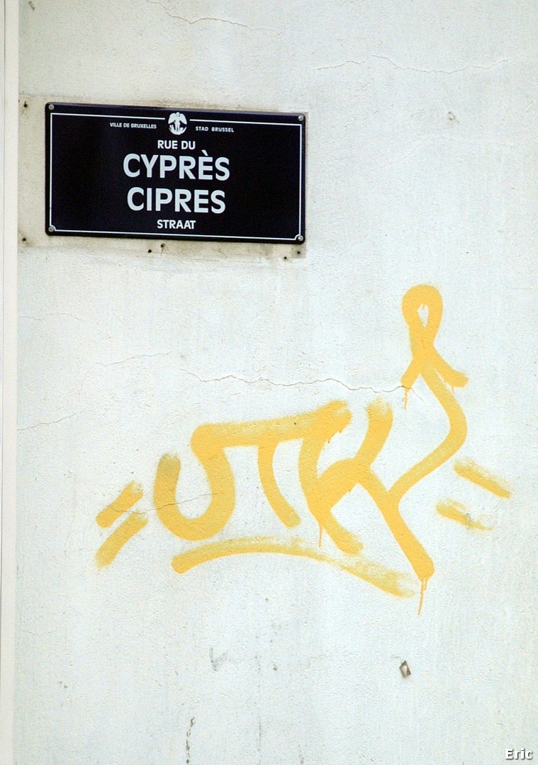  Cyprès