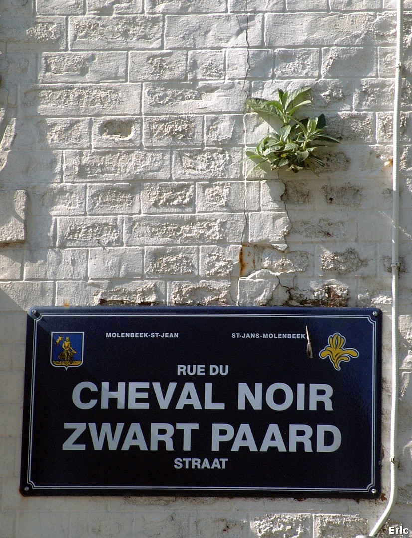 Rue du Cheval noir