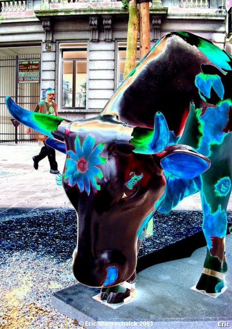 Les Vaches folles
