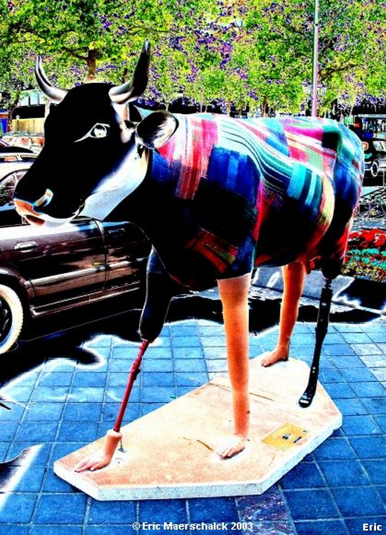 Les Vaches folles